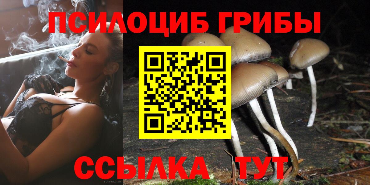 Псилоцибиновые грибы Psilocybine cubensis Фролово