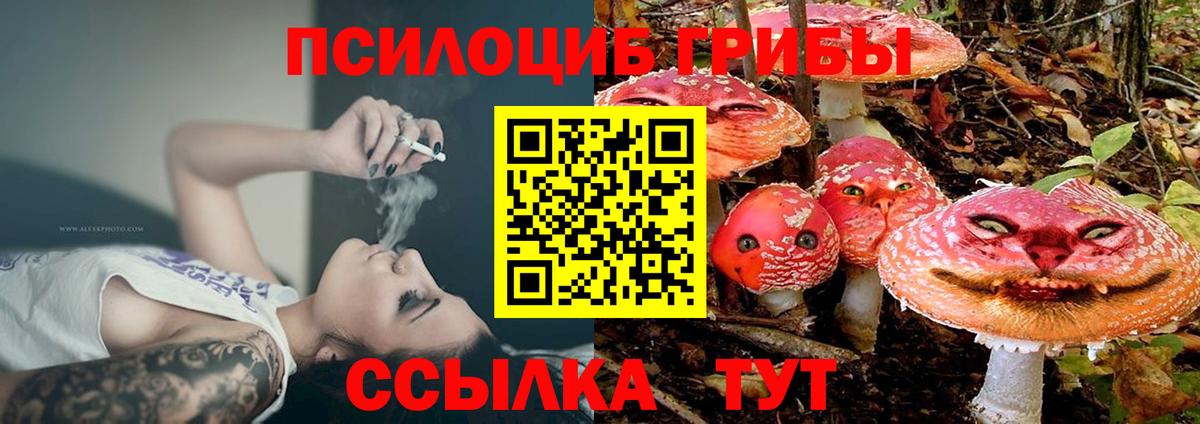 Галлюциногенные грибы ЛСД  Галлюциногенные грибы Psilocybe  Вход с VPN  Фролово 
